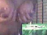 Una giovane nera mostra le tette in cam #5