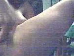 Una giovane nera mostra le tette in cam #9