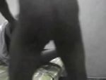 Una donna grassa con le tette giganti ubbidisce agli ordini e scopa #13